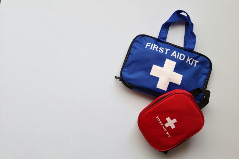 Best First Aid Kits for German Shorthaired Pointers