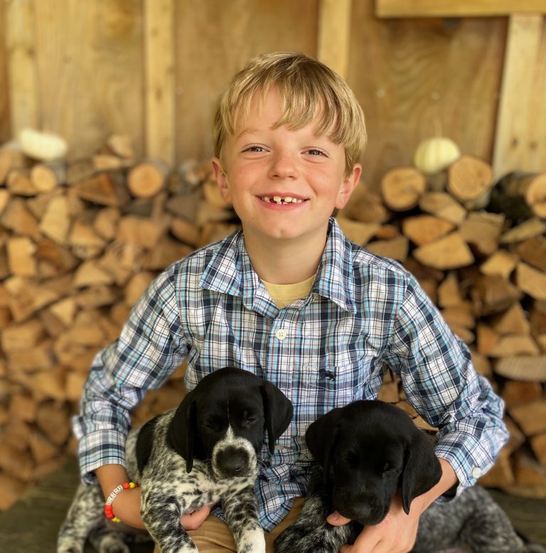 Best Puppy Starter Kit for German Shorthaired Pointers