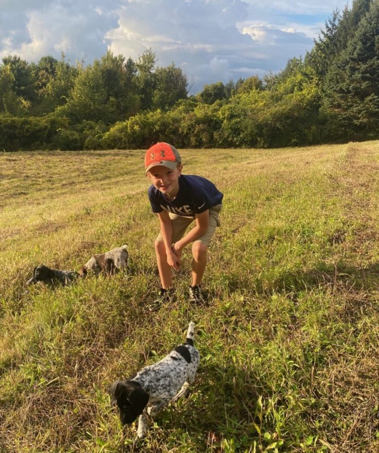 Best Puppy Training Treats for German Shorthaired Pointers