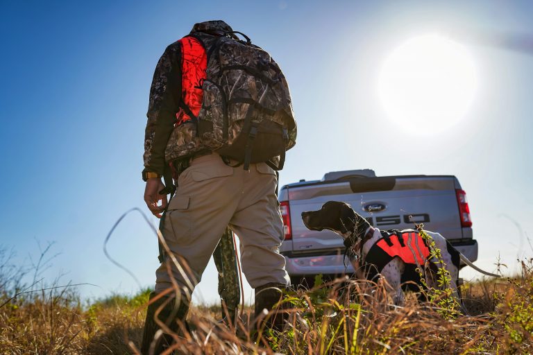 Hunting Dog Truck Setup Checklist (Safe, Practical, No Overkill)