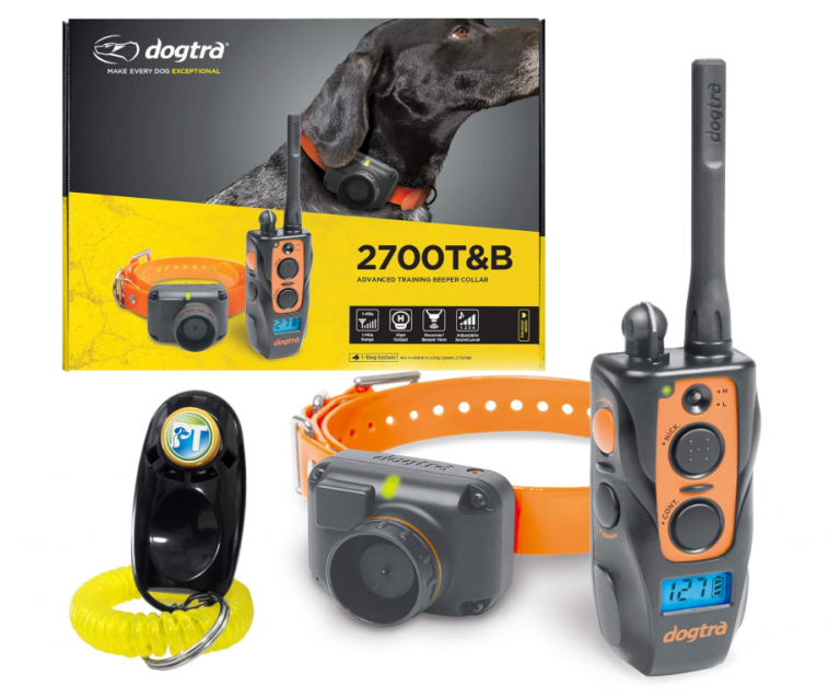 Dogtra T&B Dual Training and Beeper Collar Review for German Shorthaired Pointers
