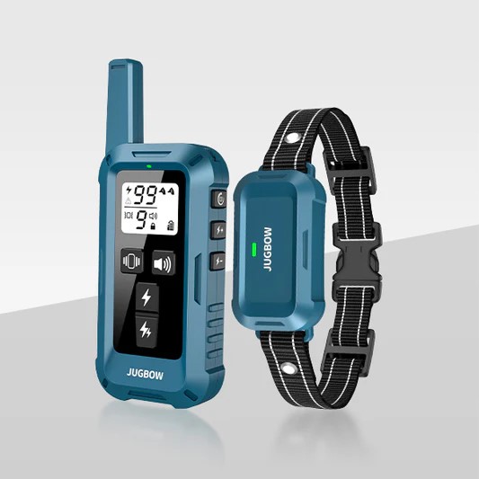 Best Budget E-Collar for German Shorthaired Pointers