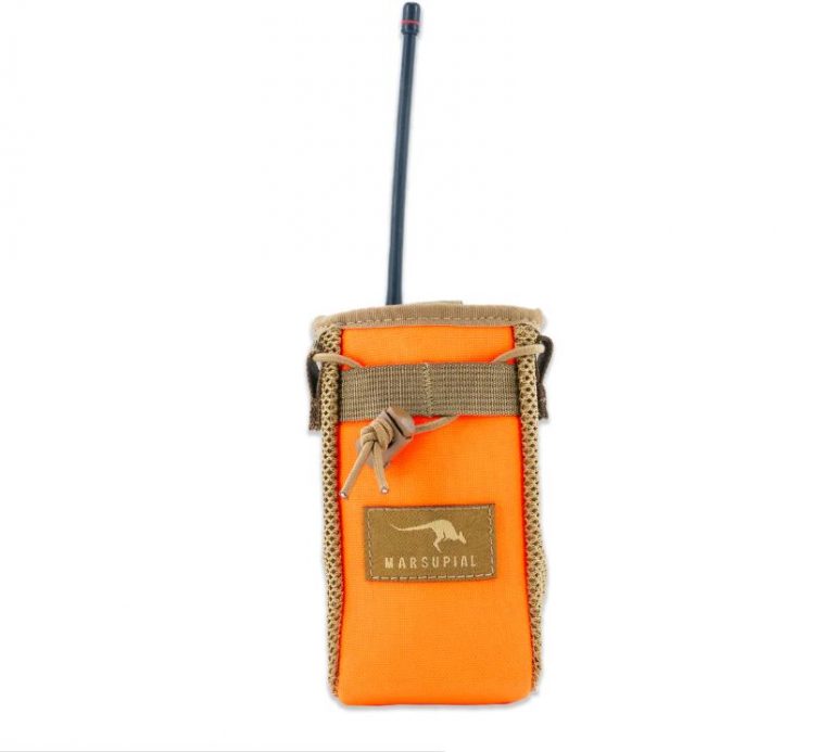 Do You Need an E-Collar Pouch for Bird Hunting? (Best Options + Why It Matters)