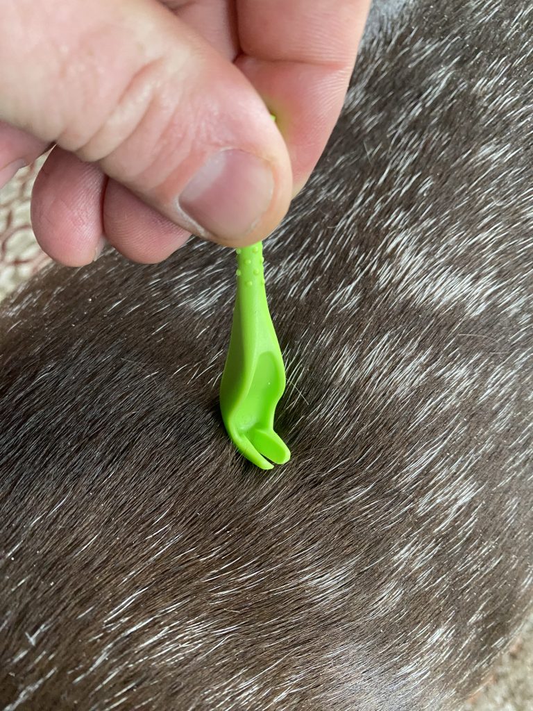 How to Remove a Tick from a Dog (Fast + Why the Tick Twister Works)